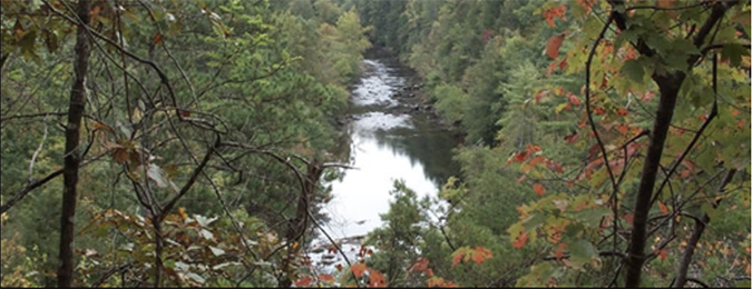 cherokee national forest