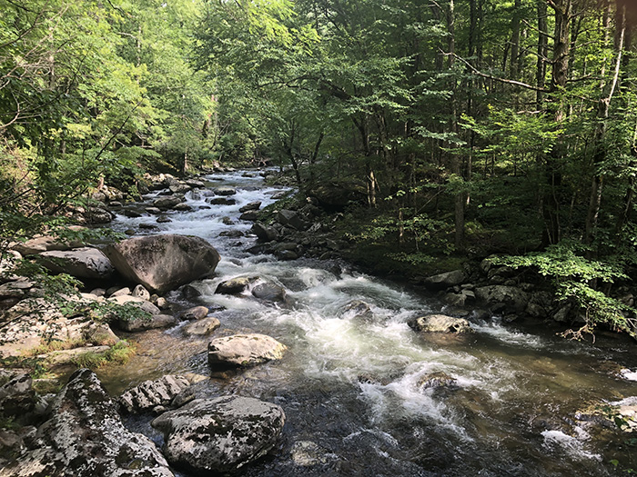 great smoky mountains