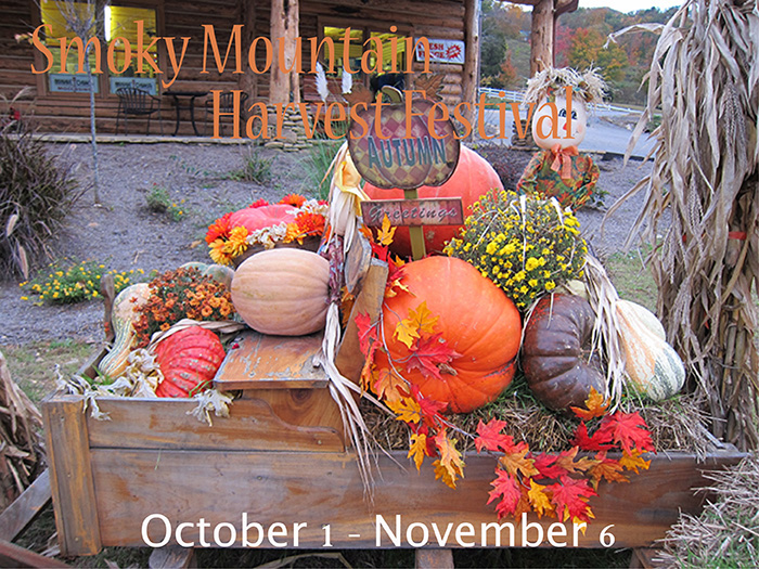 smoky mountain harvest festival