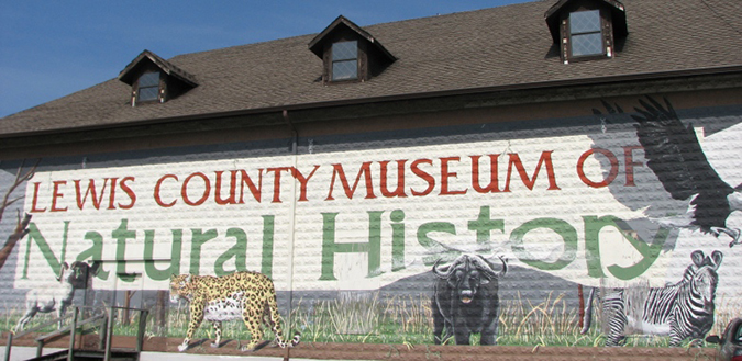 hohenwald museum